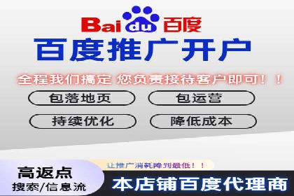竞价推广实战案例：揭秘优化策略